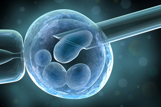 klonowanie ludzkiego zarodka