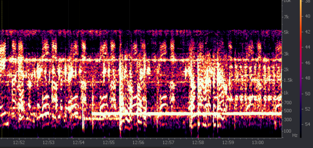 widmo z próbkowanego z częstościa 11 kHz zapisu CVR