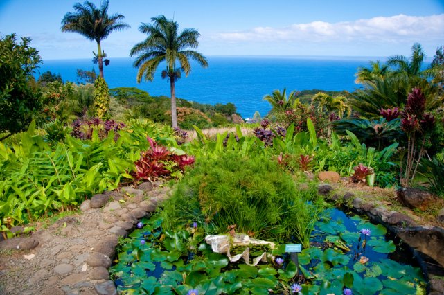[url=http://shutr.bz/1nVqcVG] Ogród Eden na Maui [/url]