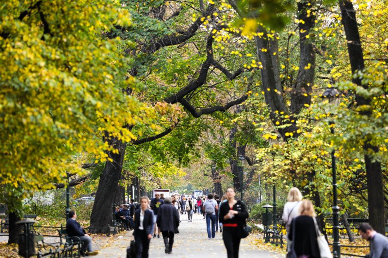 Pogoda w najbliższych dniach nadal będzie nas rozpieszczać.