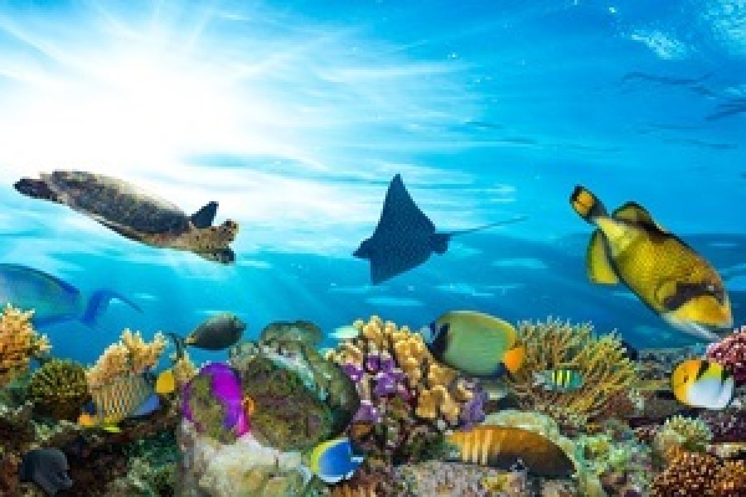 Fotolia