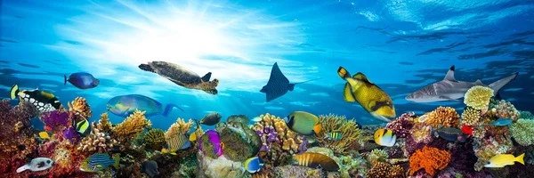 Fotolia