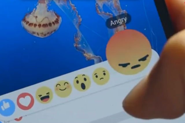 Niemiecka prokuratura interweniuje w sprawie mowy nienawiści na Facebooku.