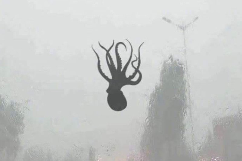 Qingdao w Chinach: z nieba spadały ośmiornice, krewetki i inne owoce morza.