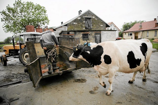 Holendrzy, Niemcy i Duńczycy pożądają naszej ziemi