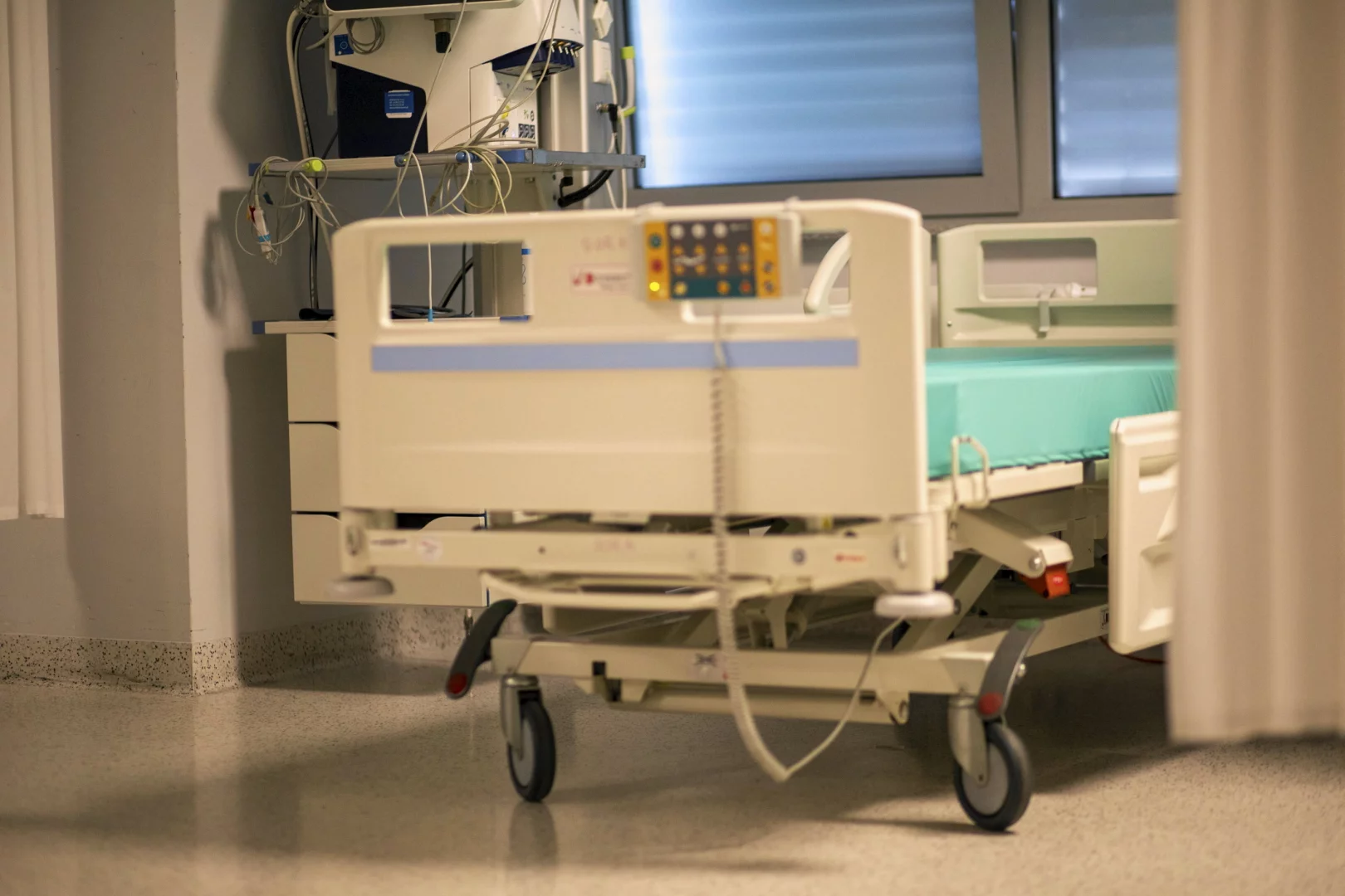 Supergrzyb w szpitalach Europy. Lepiej sprawdź, co musisz o nim wiedzieć