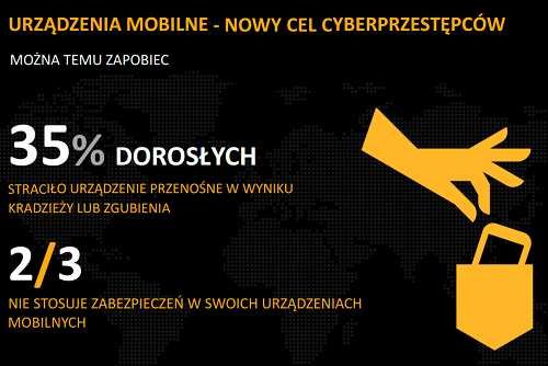 Norton Cybercrime Report 2012