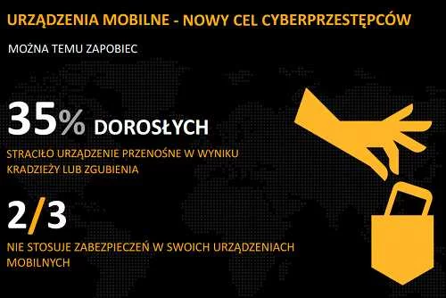Norton Cybercrime Report 2012