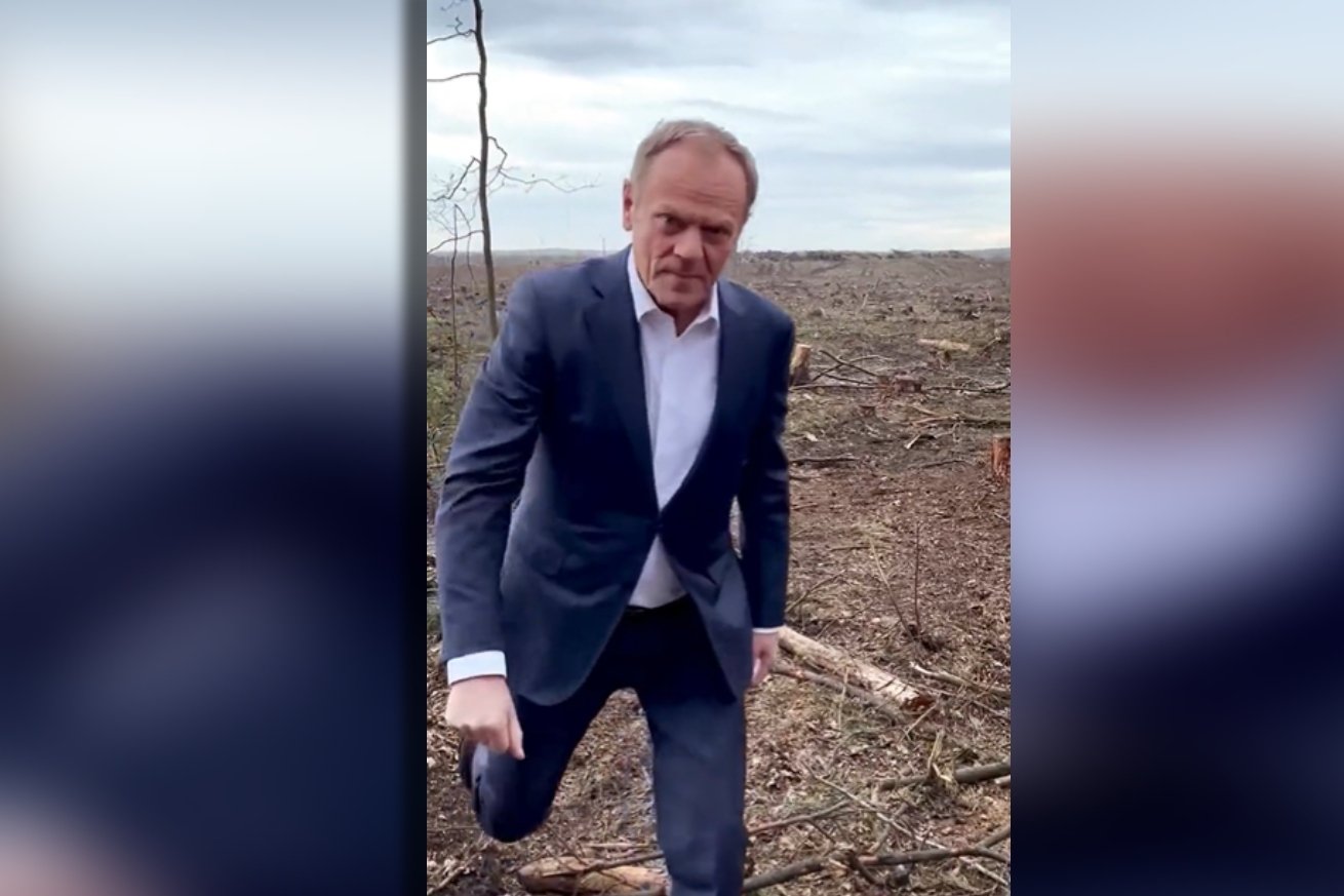 Donald Tusk "pokazał" milion samochodów Morawieckiego. "Tak to wygląda".