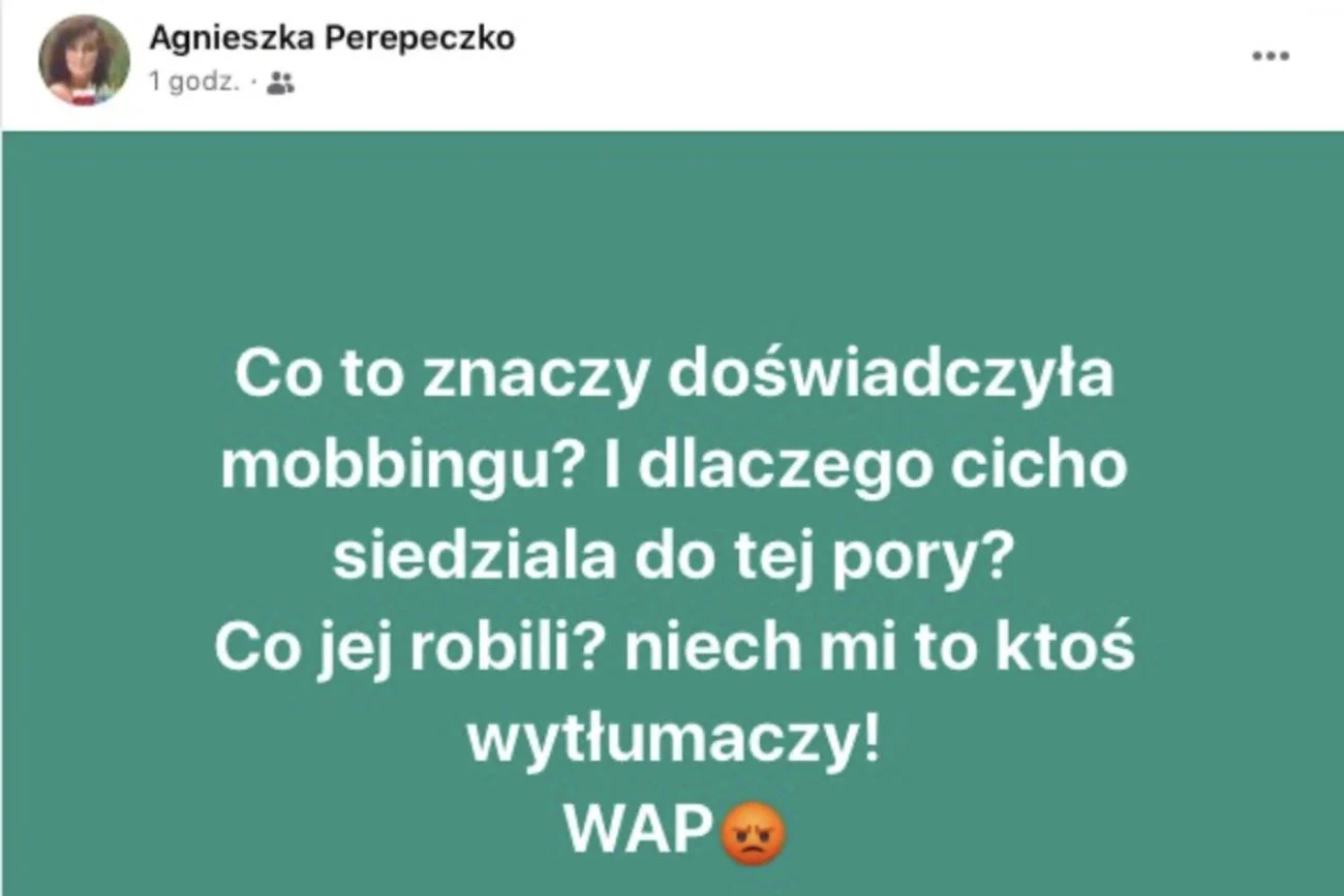 Agnieszka Fitkau-Perepeczko uderza w Wendzikowską. Minge zareagowała