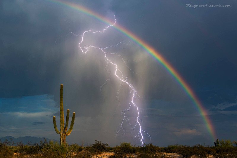 Po siedmiu latach starań 42-latek zdobył fotografię, na której tak bardzo mu zależało.