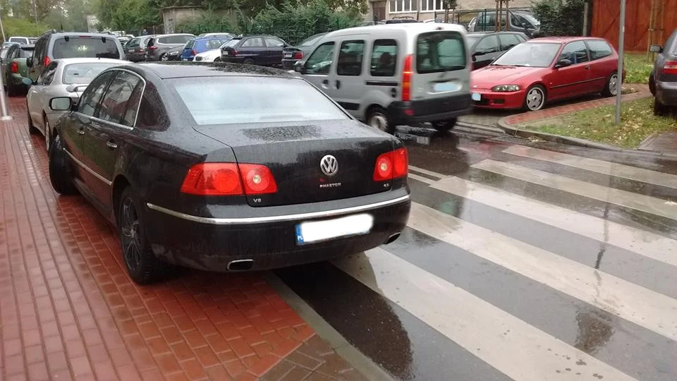 "Co mnie obchodzą piesi, ważne że zaparkowałem"