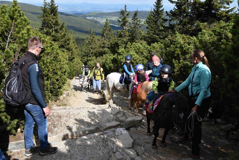 Turyści postanowili zdobyć szczyt Śnieżki, dzieci jechały na kucykach. A internauci piszą o szczycie głupoty.