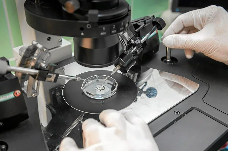 Procedura in vitro.