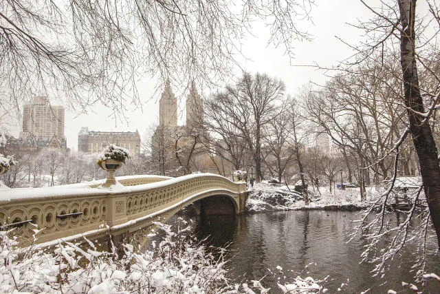 Central Park zimą