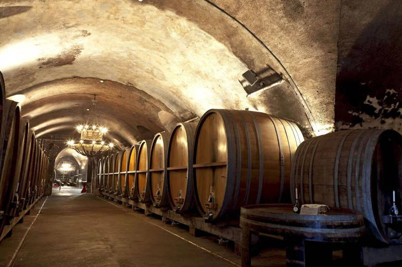 Würzburg, piwnica na wino