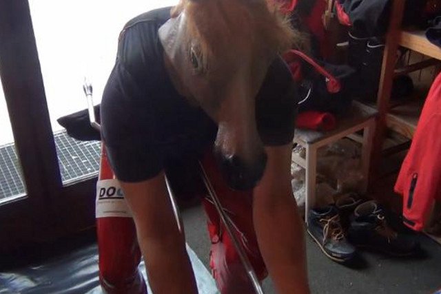 Postać konia to tajemniczy przyjeciel rekordzisty Polski w Speed Ski - Jędrzeja Dobrowolskiego.