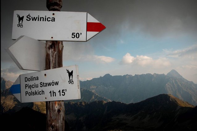 Kto z nas choć raz nie marzył o tym, by uciec od codzienności i zamieszkać "bliżej" natury?