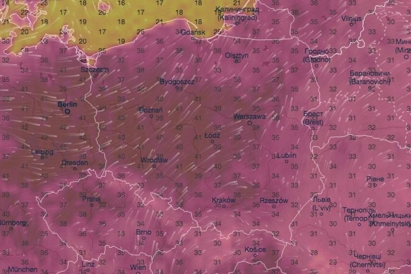Rekordowa temperatura wyniosła ponad 38 stopni Celsjusza.