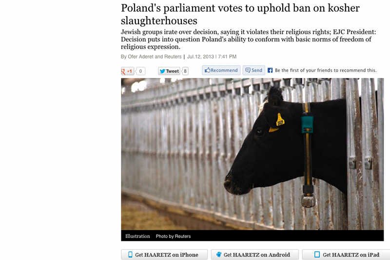 Ortodoksyjni żydzi są oburzeni decyzją w sprawie uboju rytualnego