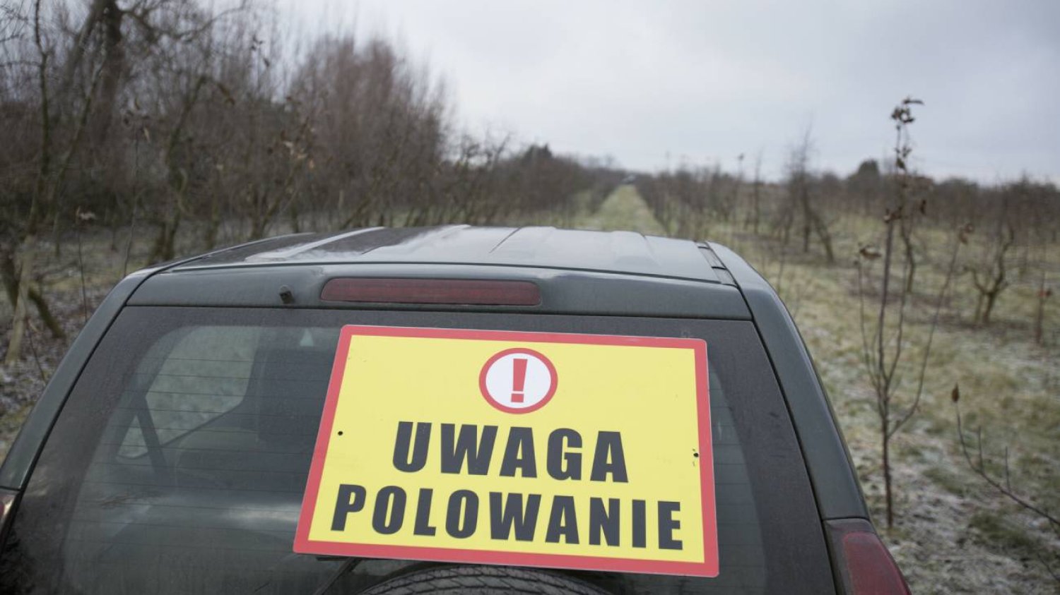 Do niecodziennej sytuacji doszło podczas jednego z polowań na terenie Załakowa na Kaszubach.