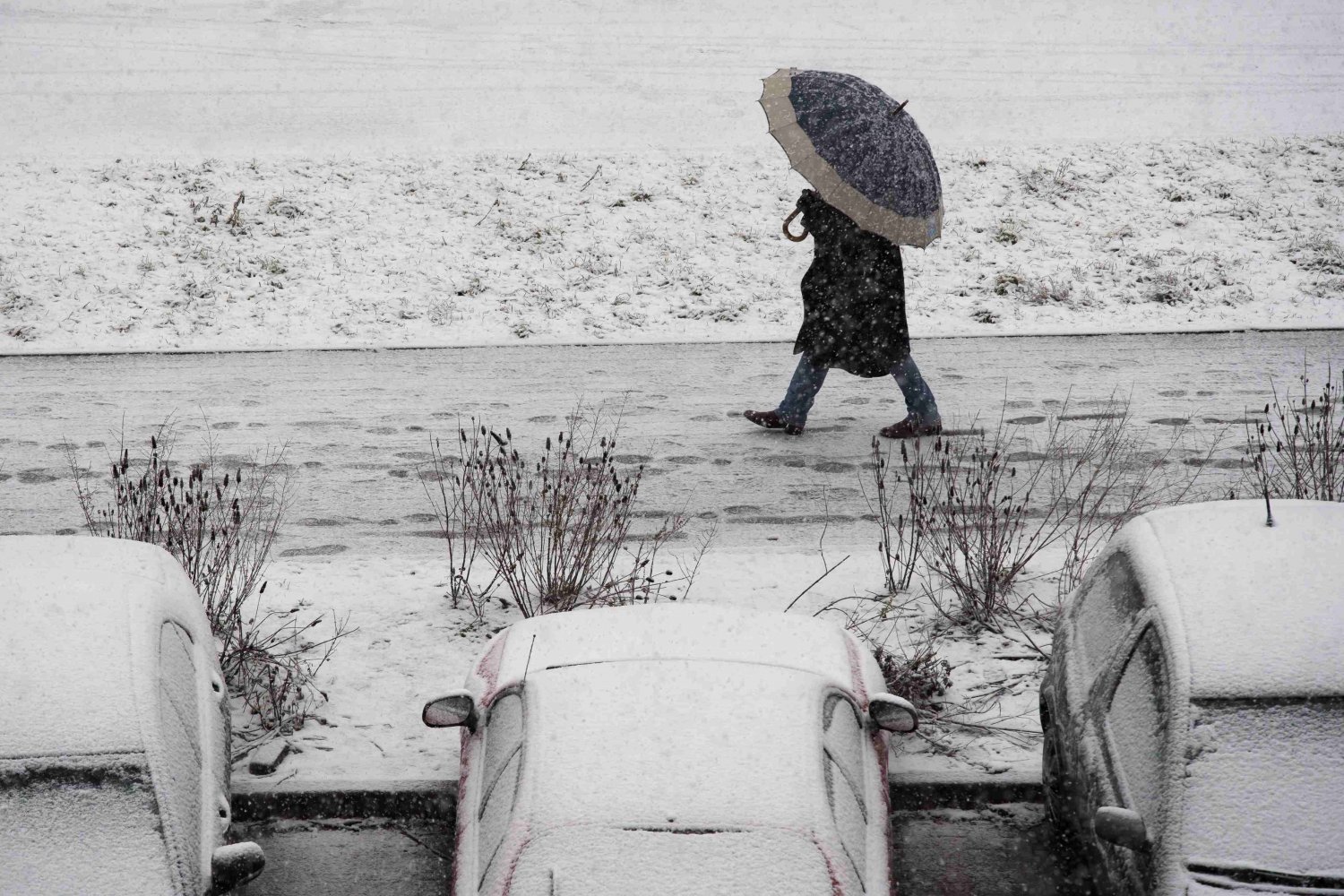 W weekend do Polski ma zawitać zima.