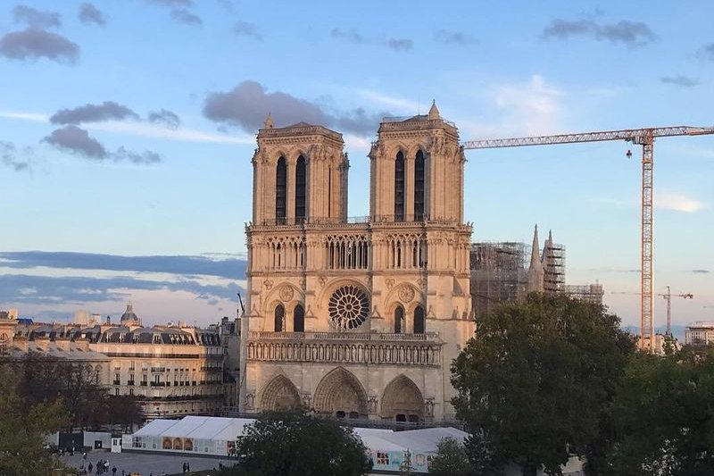 Jak idzie odbudowa Notre Dame? Do odbudowy iglicy chcą ściąć tysiąc 200-letnich dębów