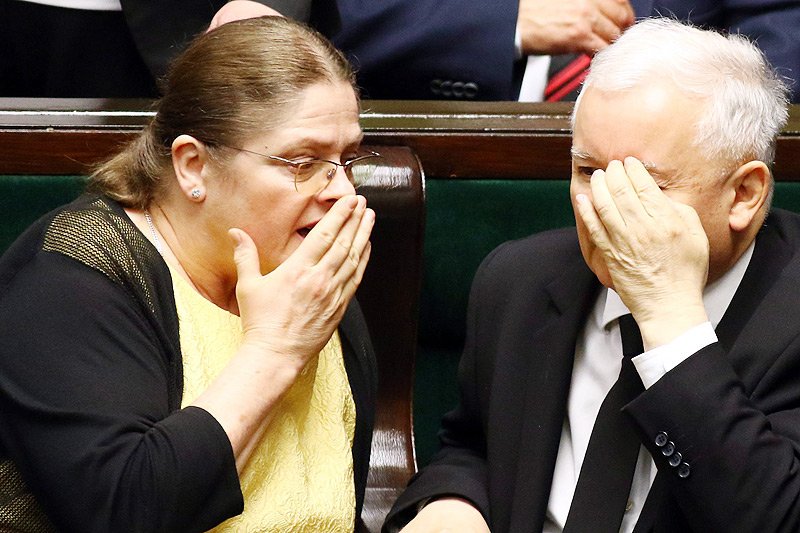 Czy Krystyna Pawłowicz z PiS powinna stracić dostęp do Facebooka? Tego domagają się autorzy petycji, pod którą w kilka godzin podpisało się już ponad 10 tys. Polaków.