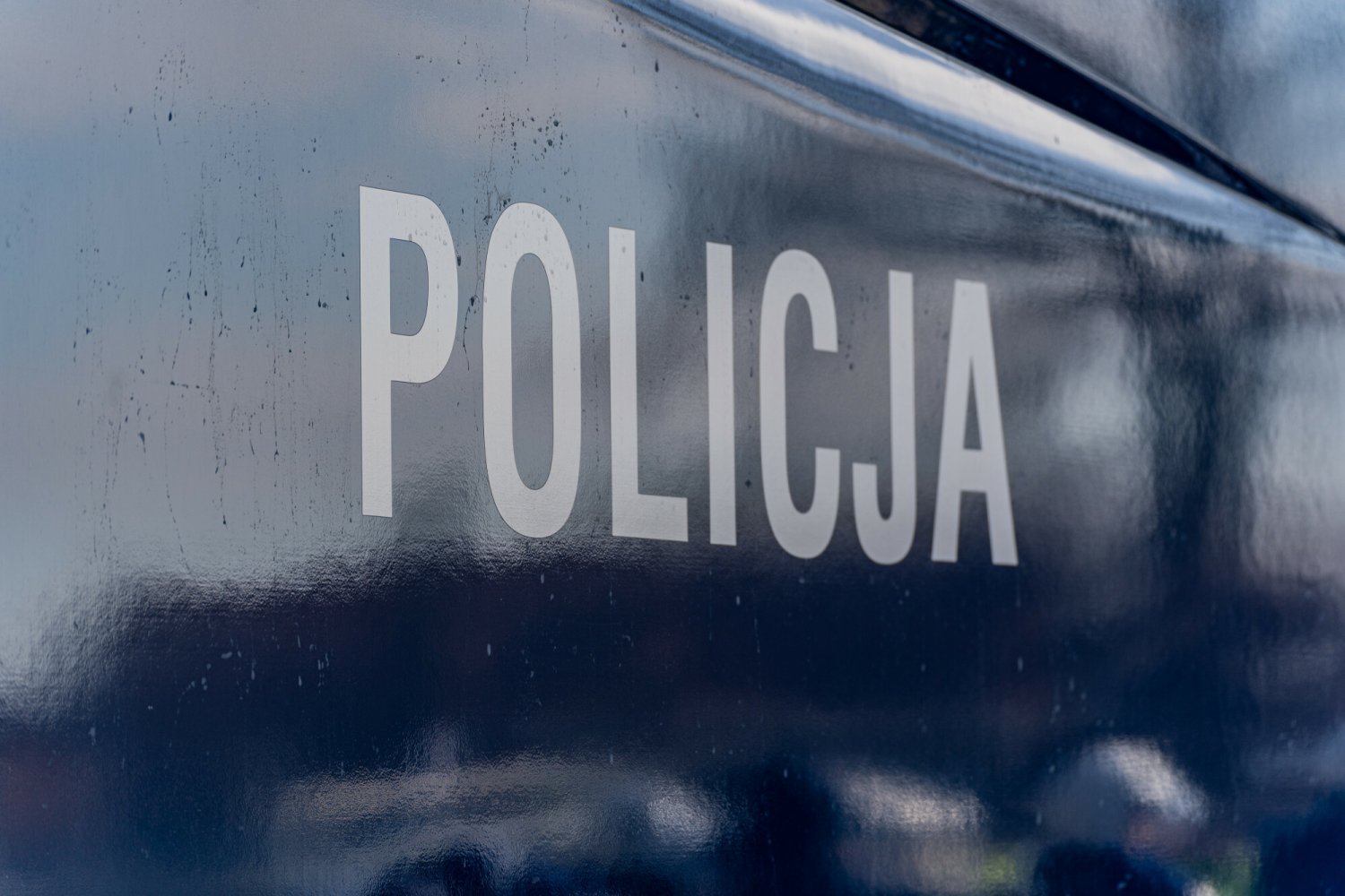 Policja zatrzymała mężczyznę, który przewoził bydło nieprzystosowanym do tego pojazdem.