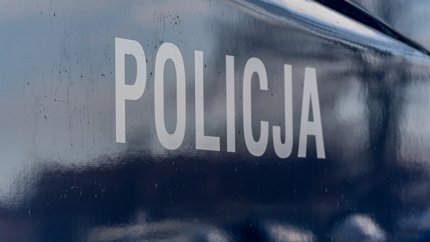 Policja zatrzymała mężczyznę, który przewoził bydło nieprzystosowanym do tego pojazdem.