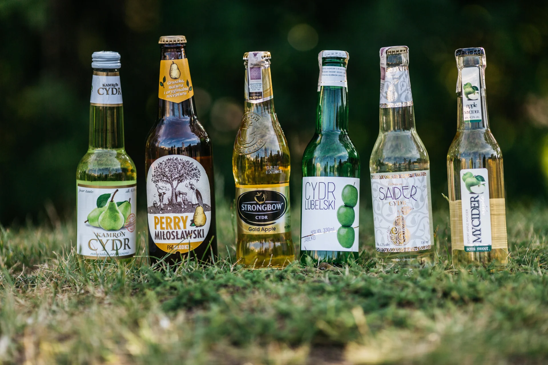 Cydry dostępne w jednym z popularnych hipermarketów. W środku dominujący rynek polski Cydr Lubelski i brytyjski Strong Bow. Drugi od lewej gruszkowy brat cydru, czyli Perry.