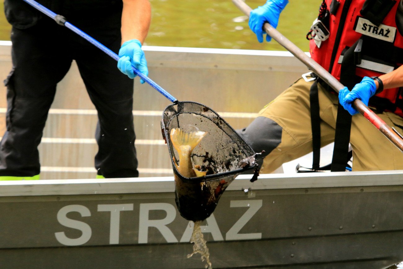 Policjanci weryfikują zgłoszenia ws. Odry