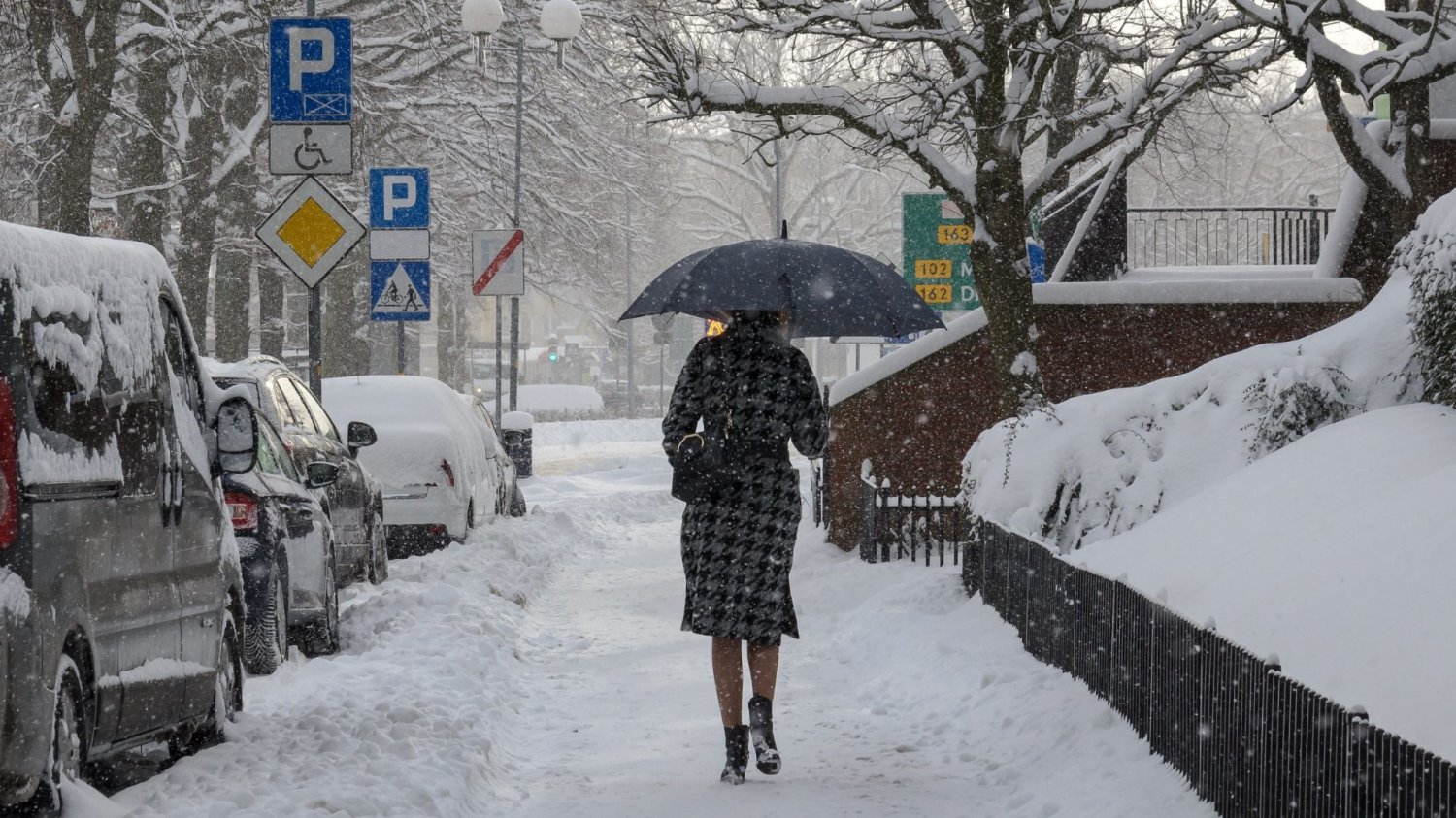 Zima w Polsce odpuści? Sprawdziliśmy, co z odwilżą.