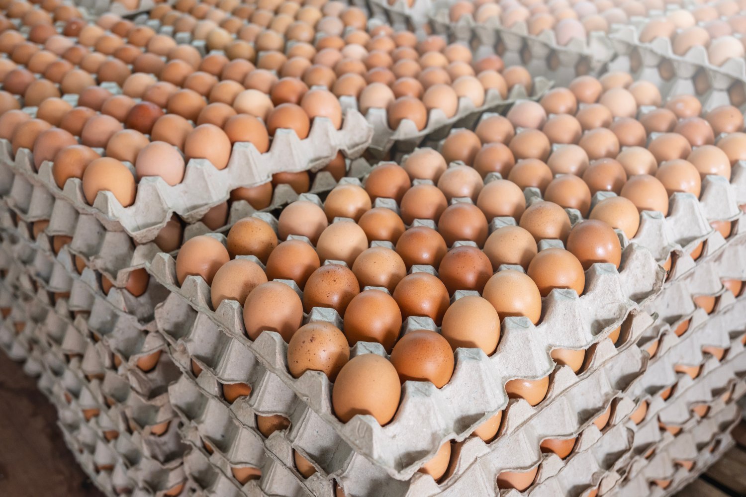 Dino wycofuje całkowicie ten produkt ze swoich sklepów. Znamy dokładne terminy.