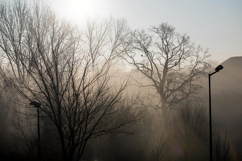 IMGW wydało alerty przed gęstymi mgłami.