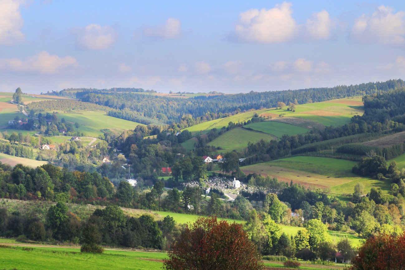 Nie mają zasięgu telefonii komórkowej, jest problem z internetem. W całej Polsce są takie miejsca. W Lipnicy Wielkiej polowa wsi ma zasięg, a połowa nie.