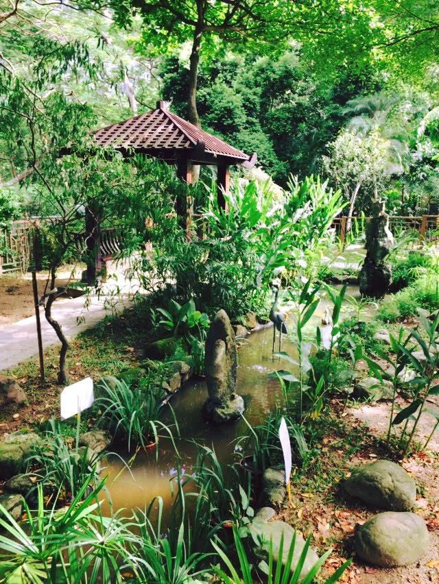Ogród zoologiczny w samym centrum Hong Kongu