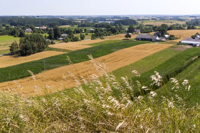 Podlasie
