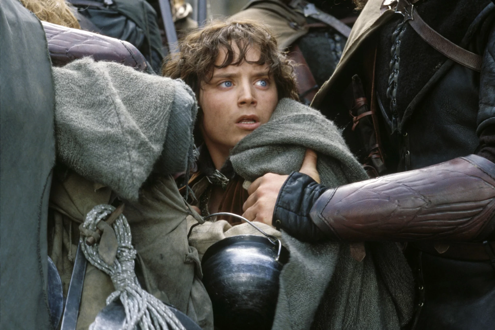Elijah Wood swoją popularność zawdzięcza roli we Władcy Pierścieni