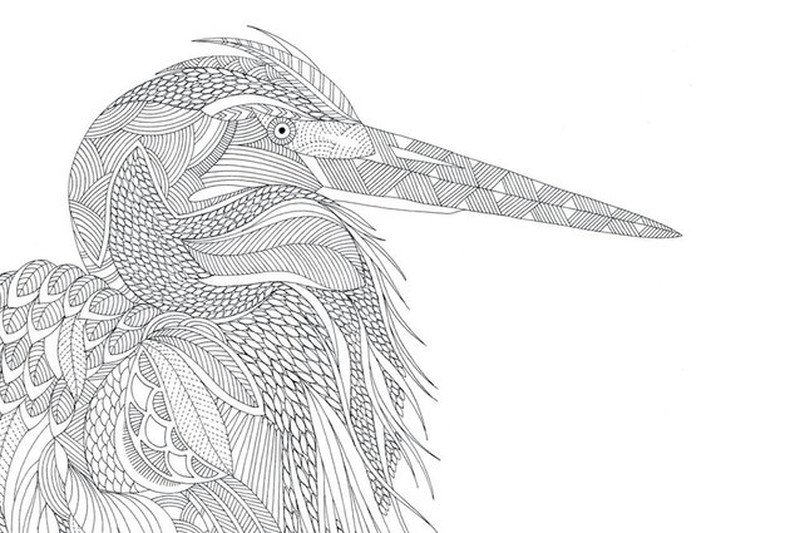 Millie Marotta's Animal Kingdom - A Colouring Book Adventure.