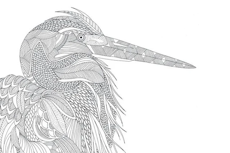 Millie Marotta's Animal Kingdom - A Colouring Book Adventure.
