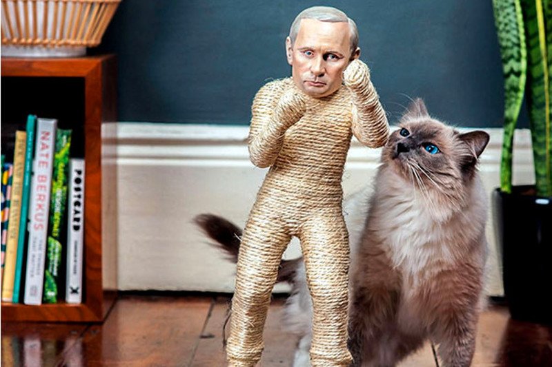 Określenie "wydrapać oczy" nabiera nowego znaczenia.