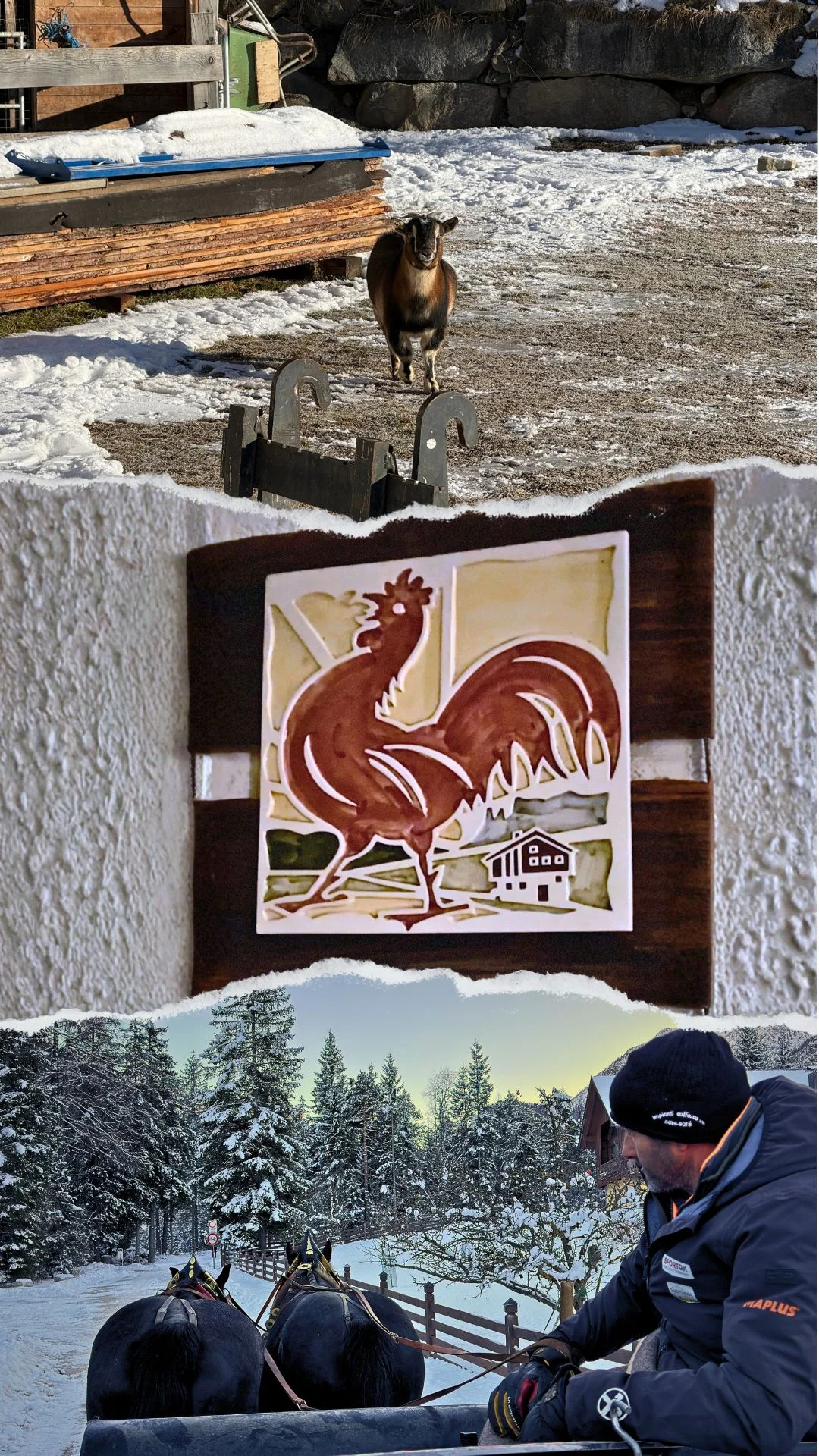Takie widoki i atrakcje czekają w gospodarstwach Roter Hahn w Południowym Tyrolu. Takie widoki i atrakcje czekają w gospodarstwach Roter Hahn w Południowym Tyrolu.