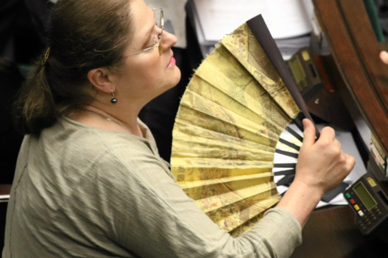 Pawłowicz ostro zaatakowała WOŚP na Facebooku.