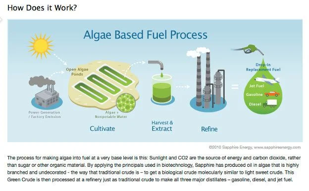 Od alg do benzyny. Takie technologie są już dostępne.