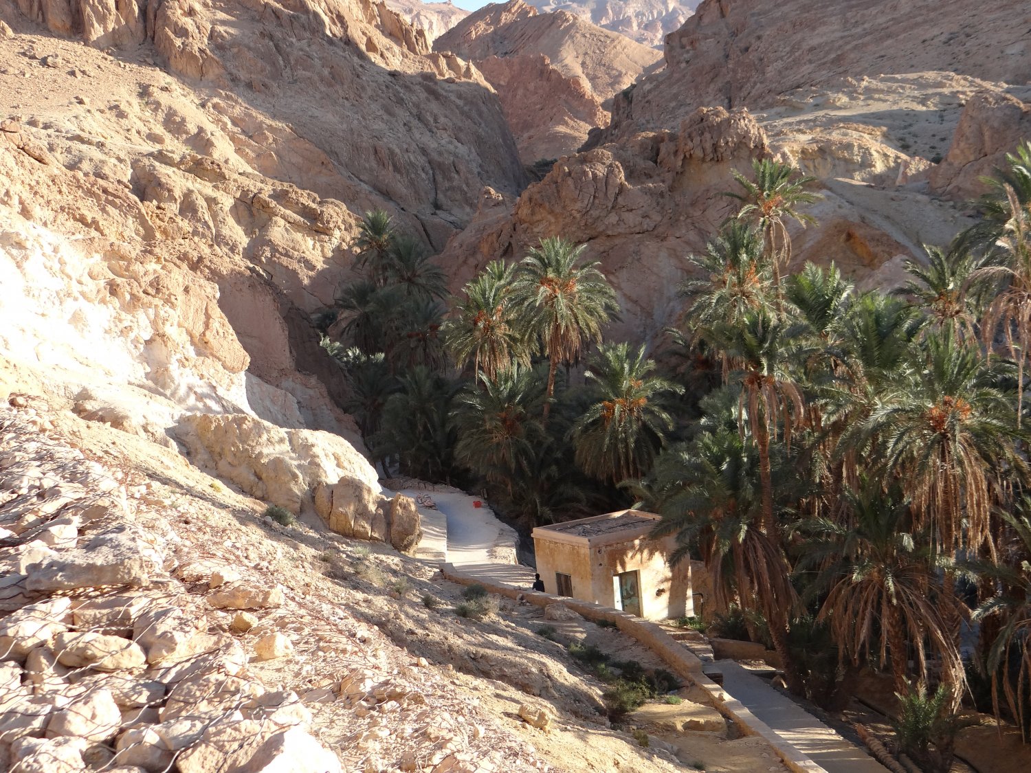 Oaza Chebika w pobliżu granicy tunezyjsko-algierskiej. Miejsce odpoczynku na środku pustyni.