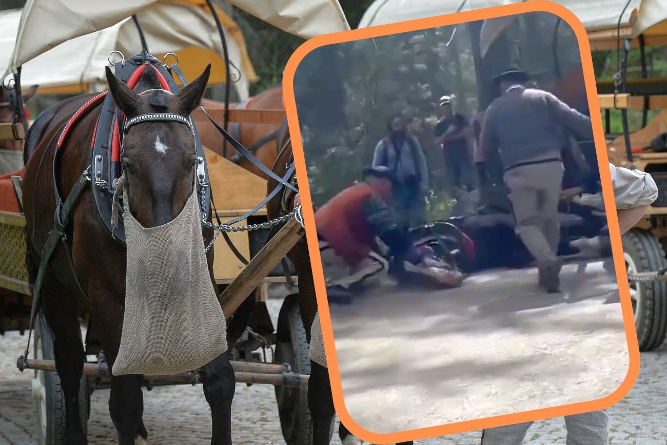 Do tej pory problem koni spod Morskiego Oka był ignorowany