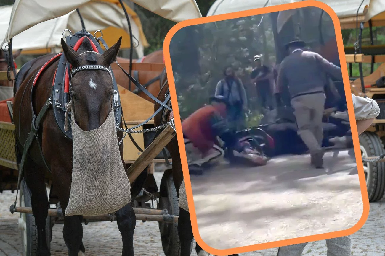 Do tej pory problem koni spod Morskiego Oka był ignorowany
