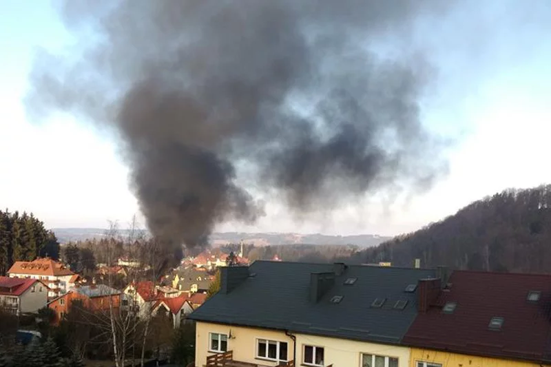 Prawdopodobną przyczyną pożaru hotelu był śmietnik.