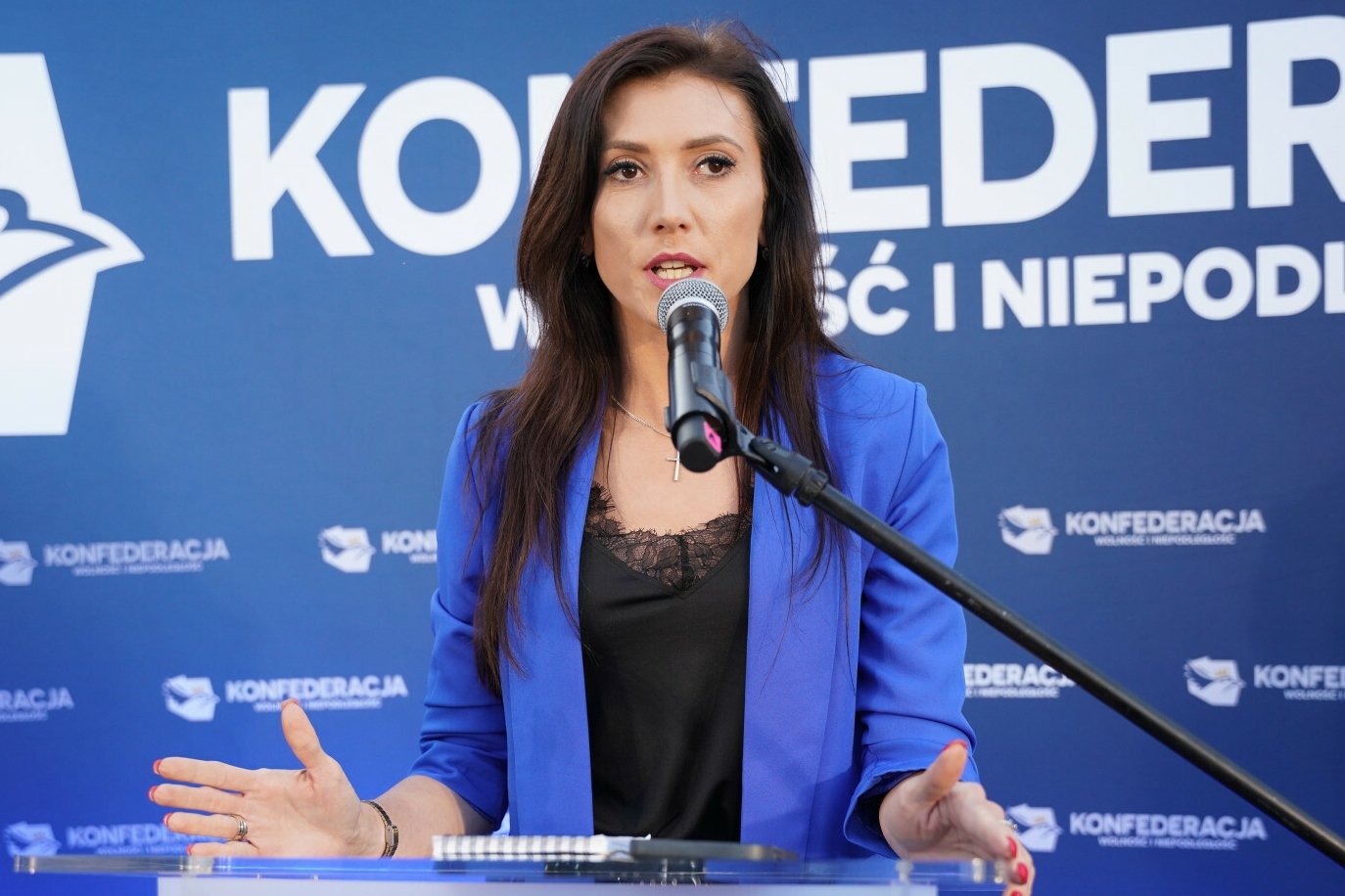 Zajączkowska-Hernik zaskoczyła w PE. Tak wygląda jej oświadczenie majątkowe.